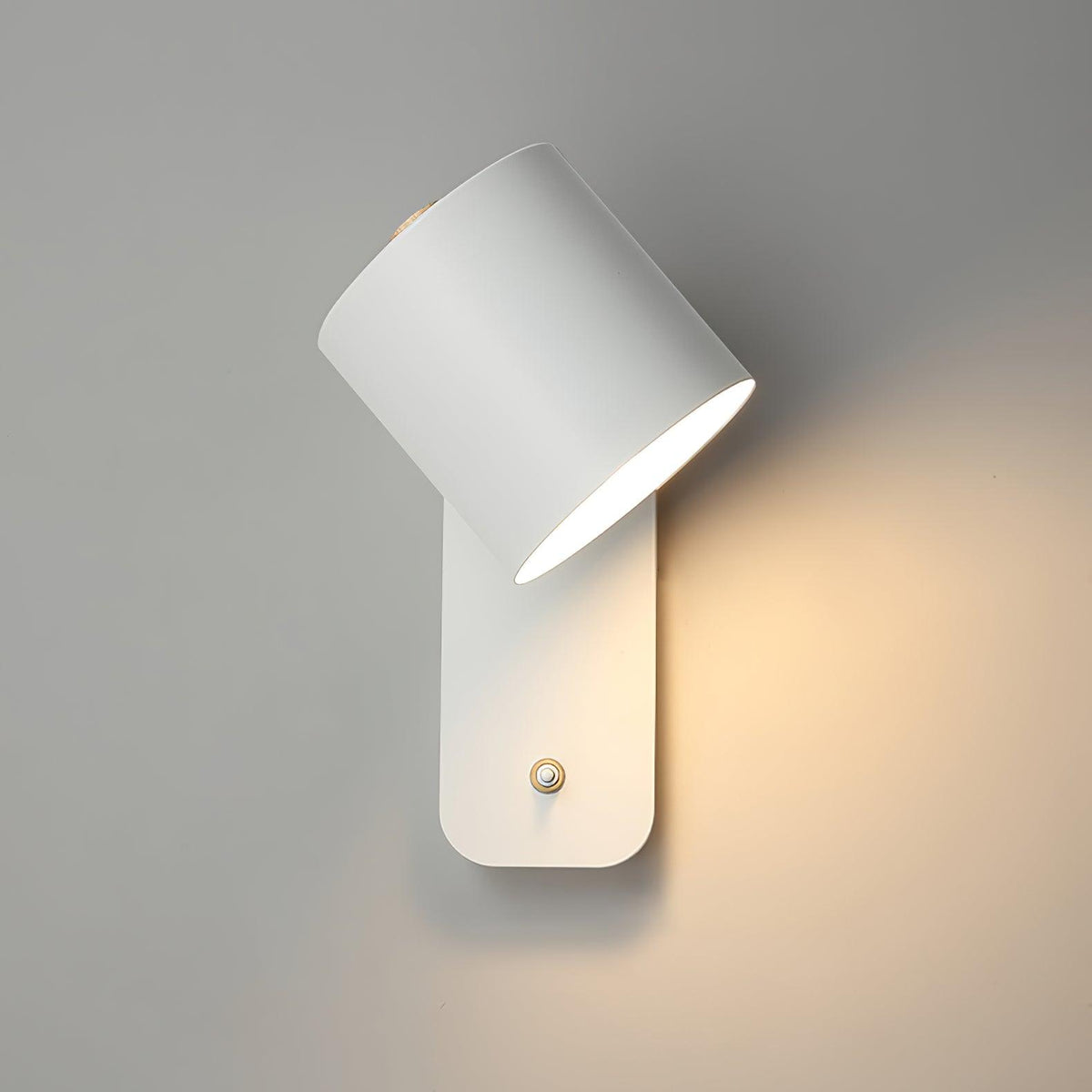 Ebika Rotatable Cylinder Indoor Wall Light