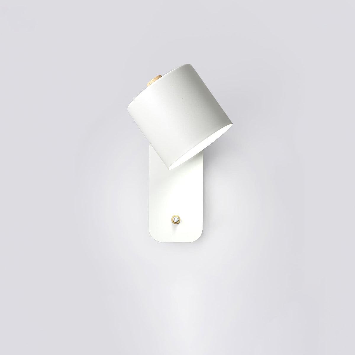 Ebika Rotatable Cylinder Indoor Wall Light