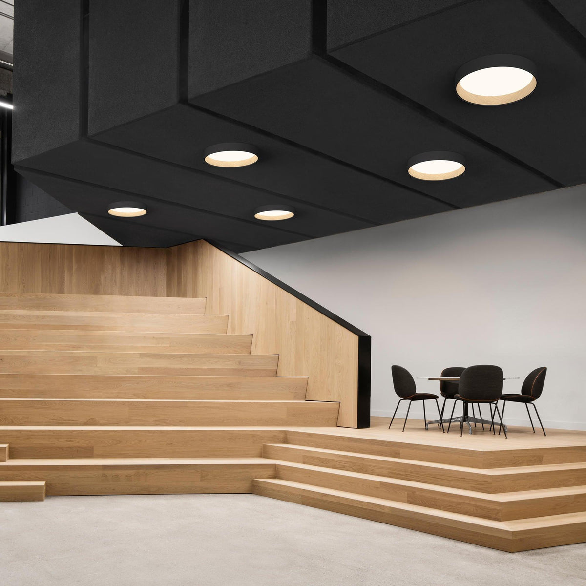 Cirarena Modern Minimalist Round Ceiling Lamp