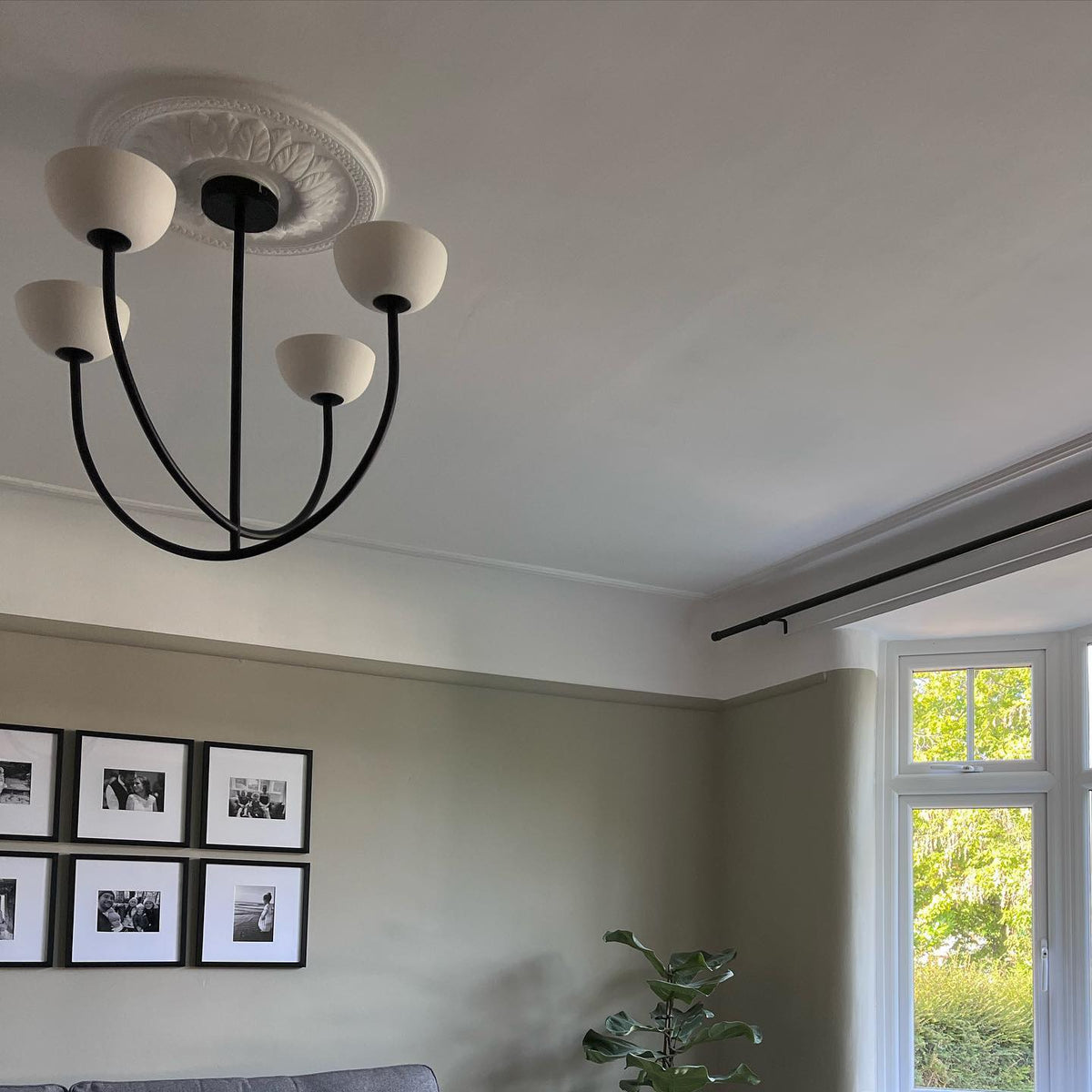 Sorinella Chandelier