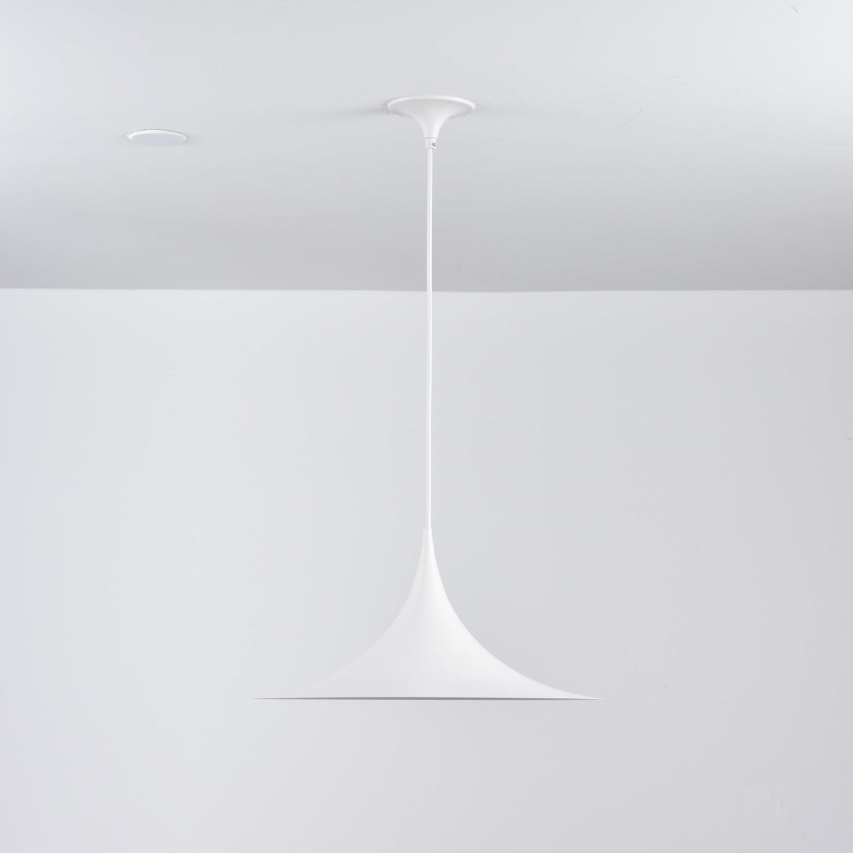 Lioreina Swag Pendant Light