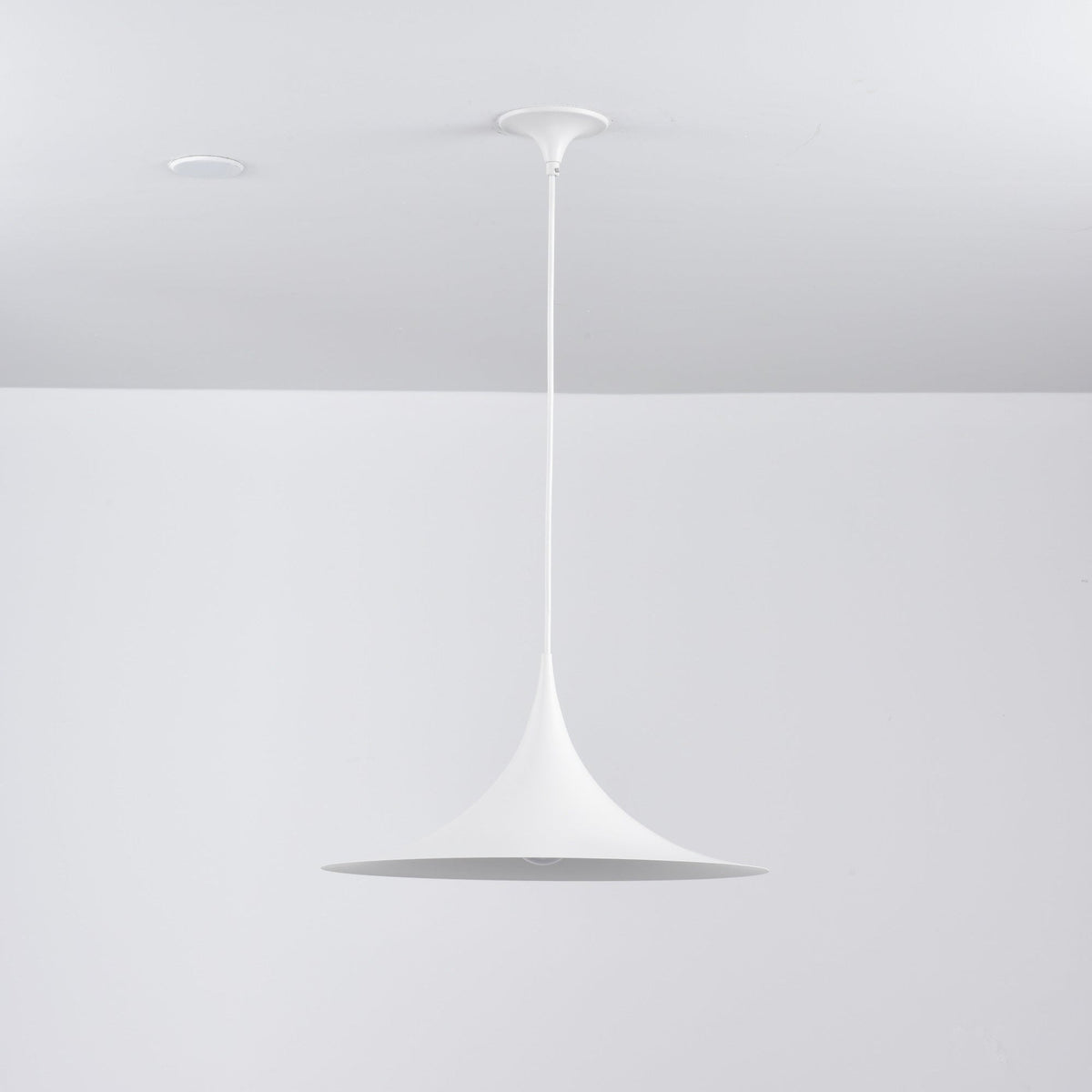 Lioreina Swag Pendant Light