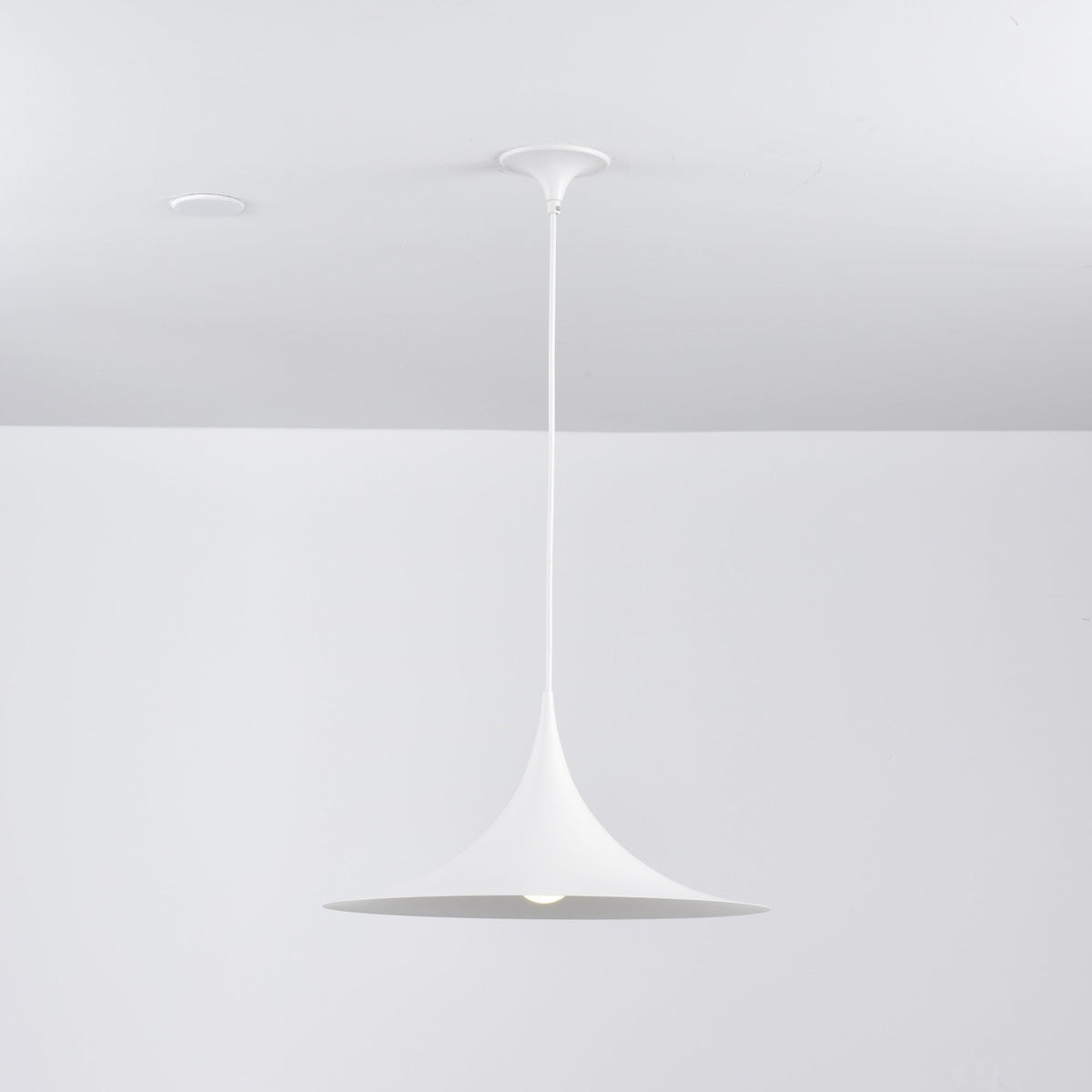 Valerira Steel Sculptural Pendant Light