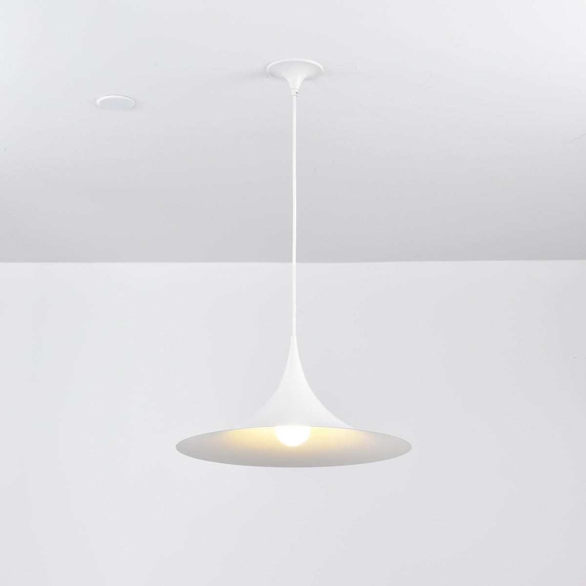 Lioreina Swag Pendant Light