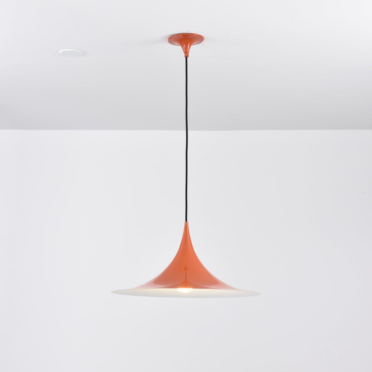 Lioreina Swag Pendant Light