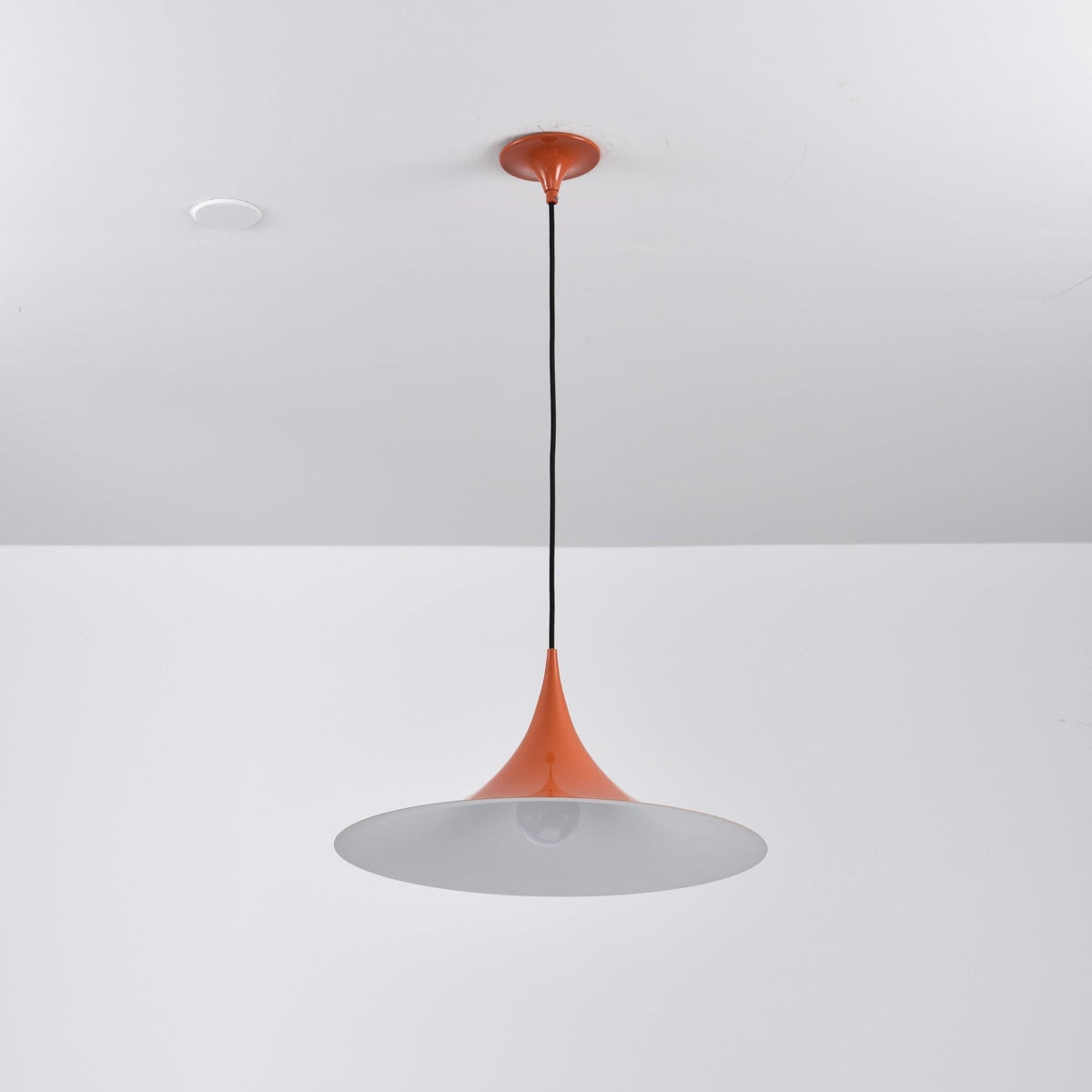 Lioreina Swag Pendant Light