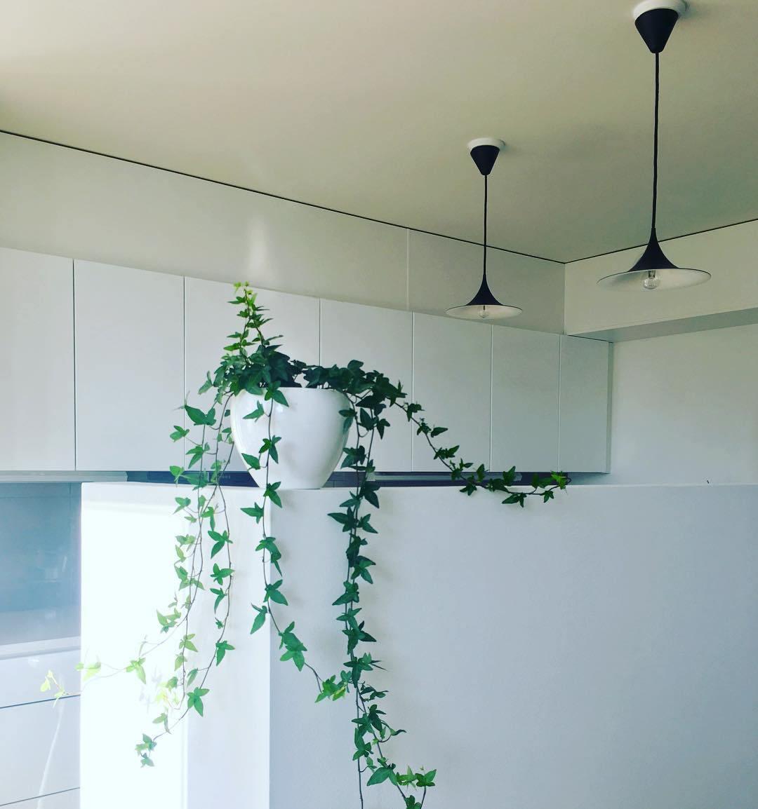 Valerira Steel Sculptural Pendant Light