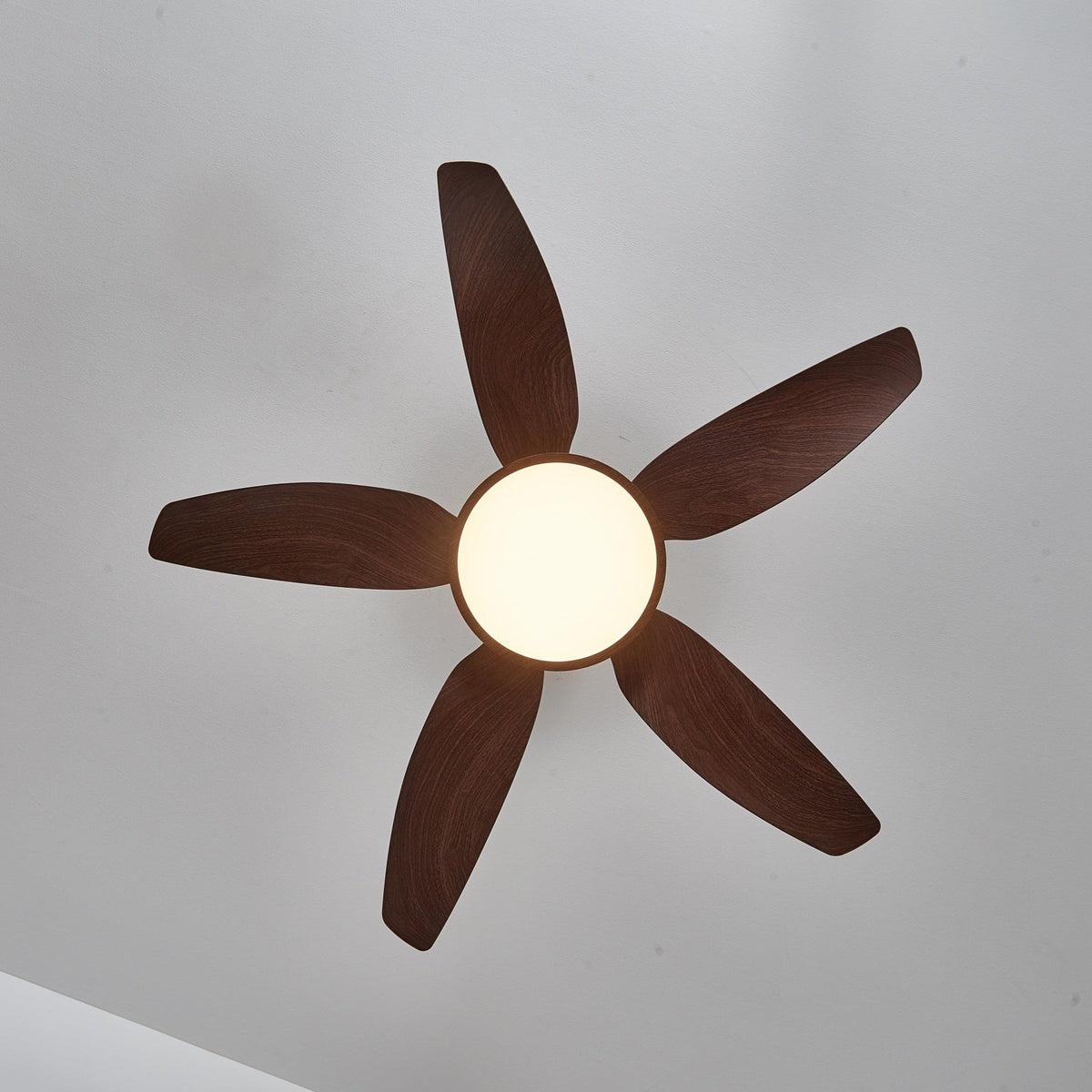 Orla Modern Wood Brass Ceiling Fan Light