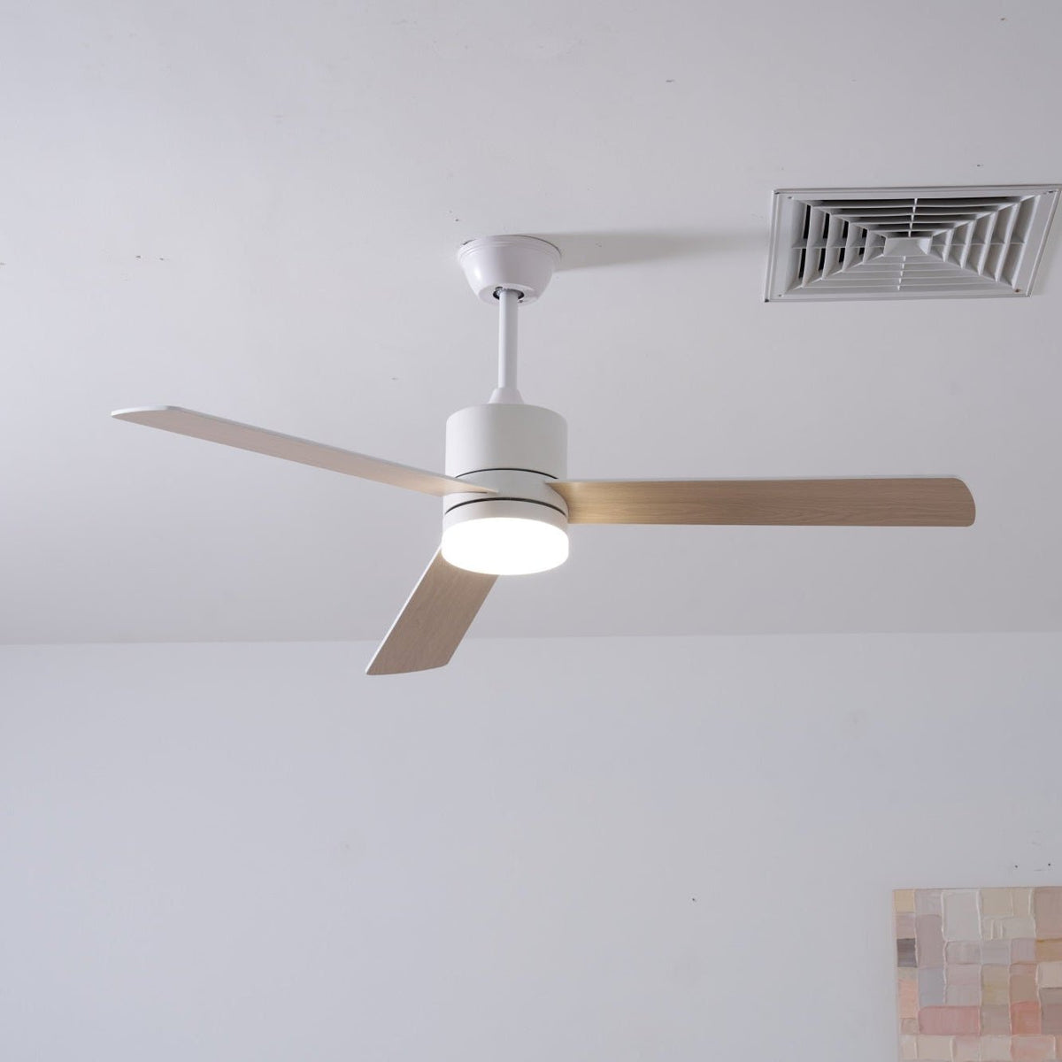 Virainian Drift Ceiling Fan Lamp