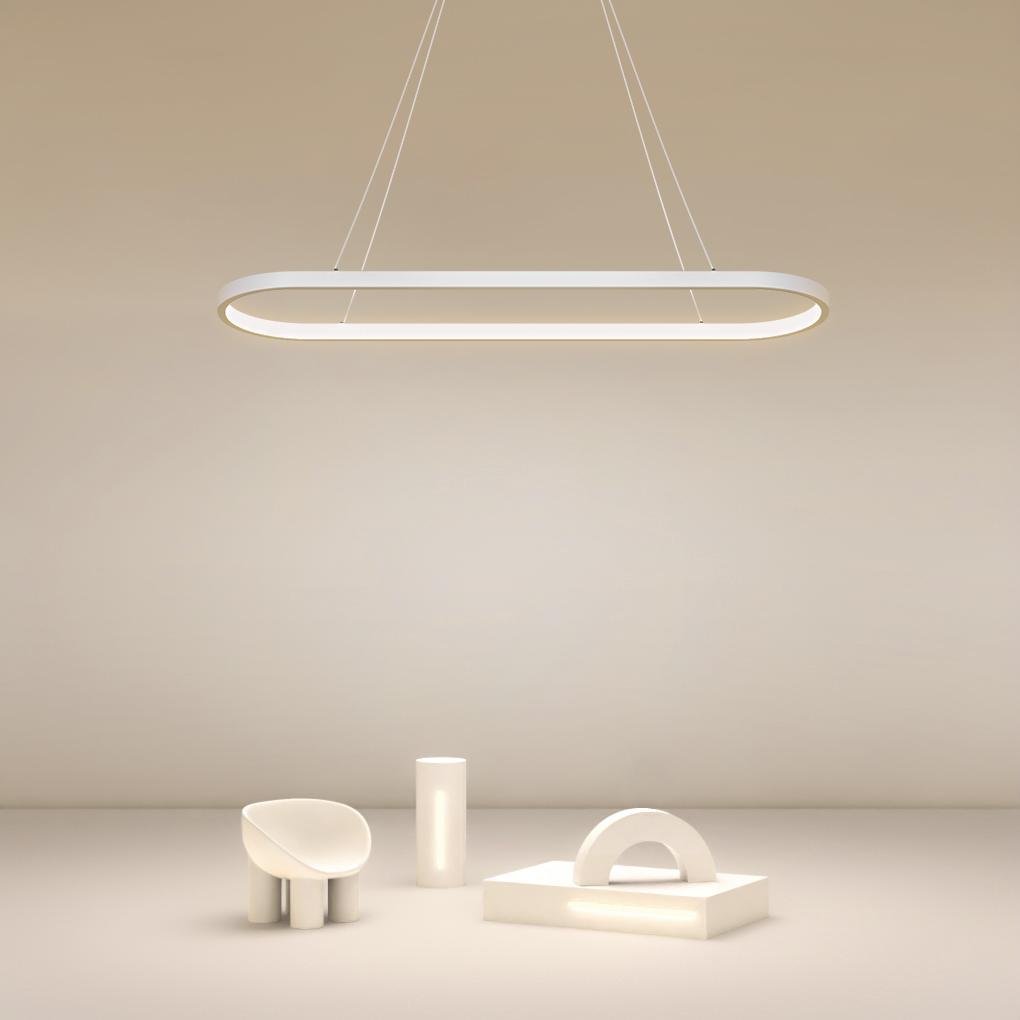 Modern Oval Hanging Chandelier with Remote Control - Lamp Outdoor