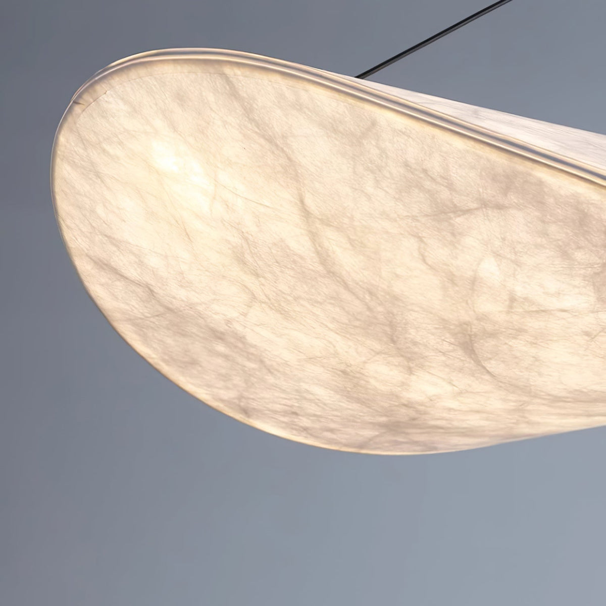Twist Pendant Contemporary Swag Light