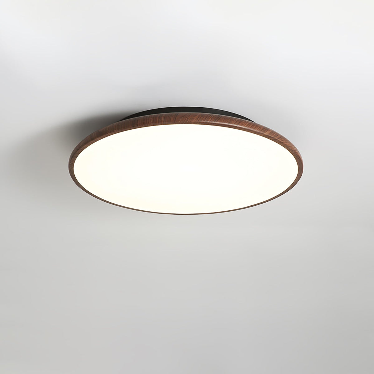 Bluxen Thin Geometry Shape Ceiling Lamp