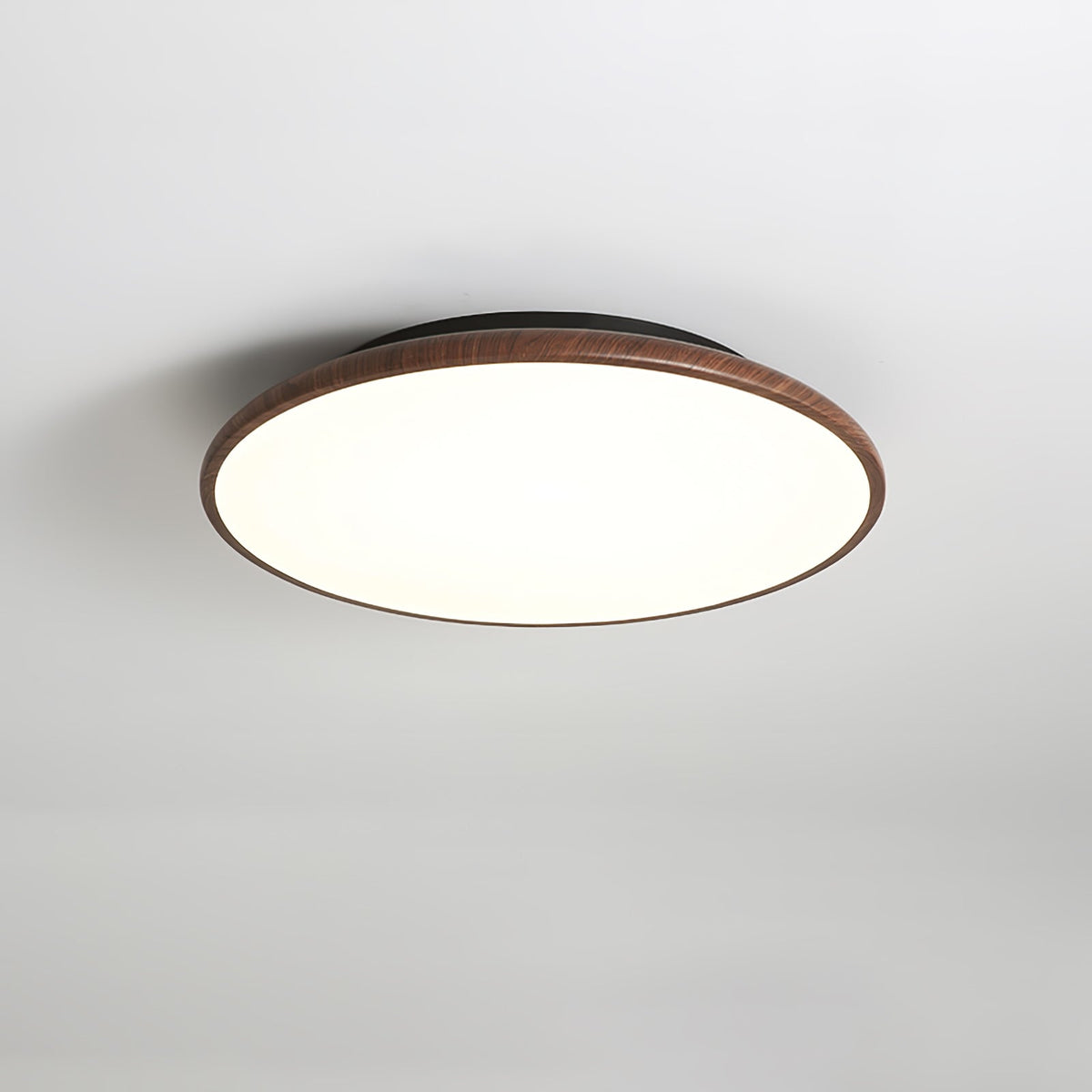 Bluxen Thin Geometry Shape Ceiling Lamp