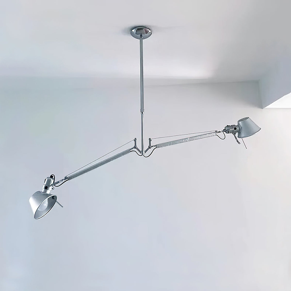 Brady Elvior Adjustable Arm Pendant Light