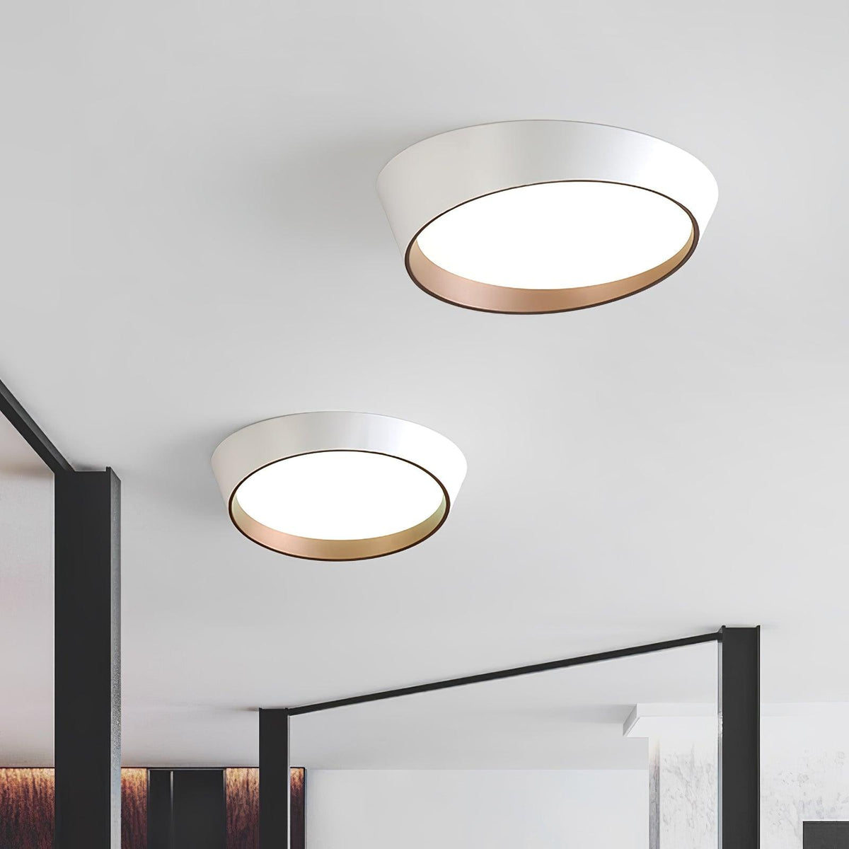 Arixa Modern Minimalist Ceiling Lamp