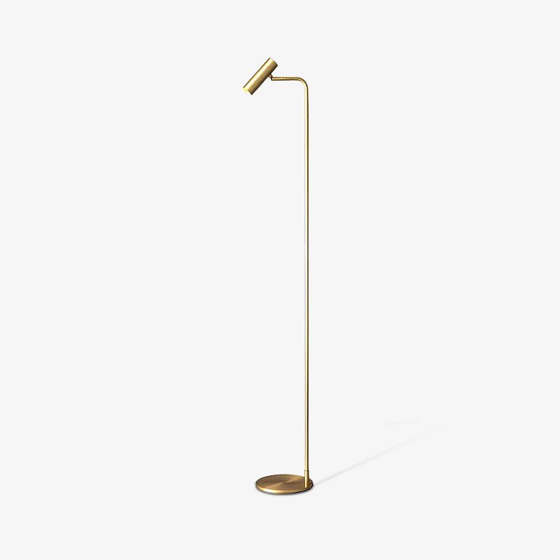 Nirixa Brass Industrial Floor Lamp