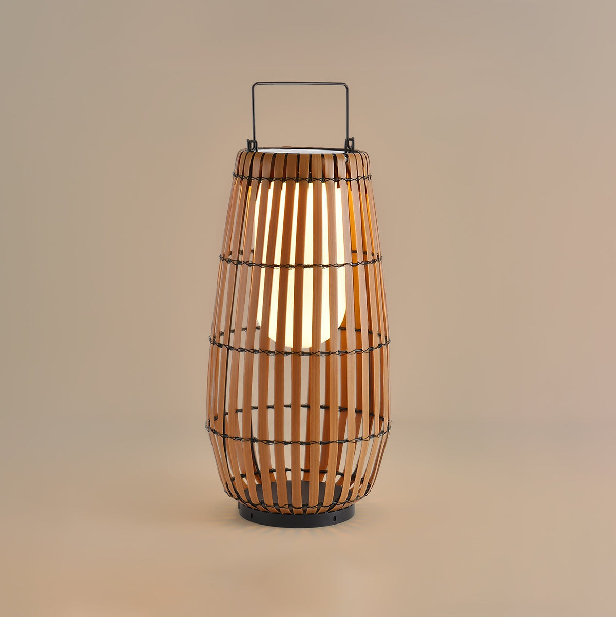 Veshael Tropic Braid Lantern Outdoor Lamp