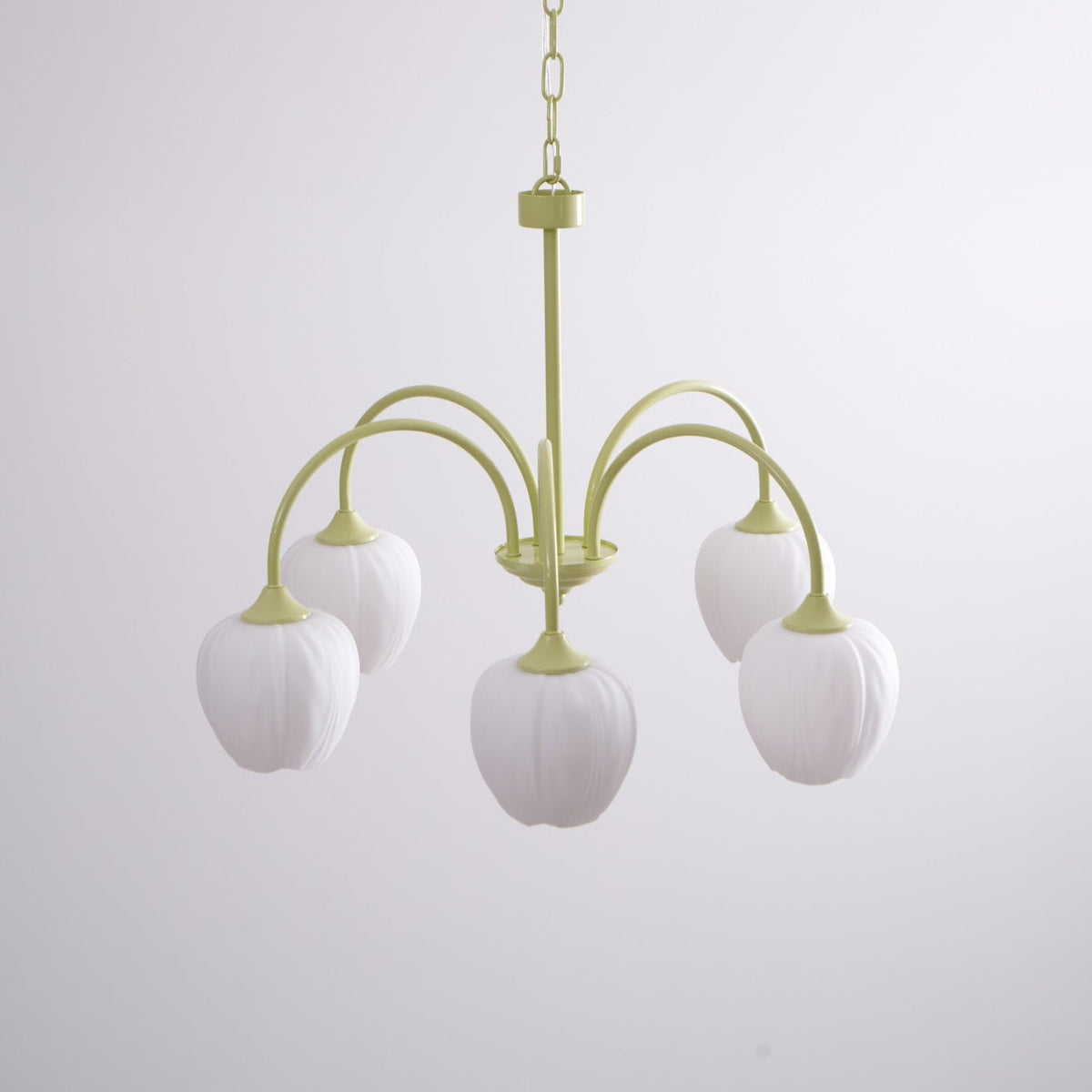Gaina Tulip Matcha Chandelier