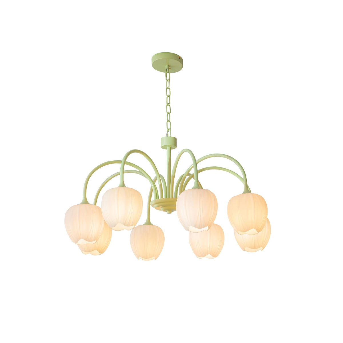Gaina Tulip Matcha Chandelier