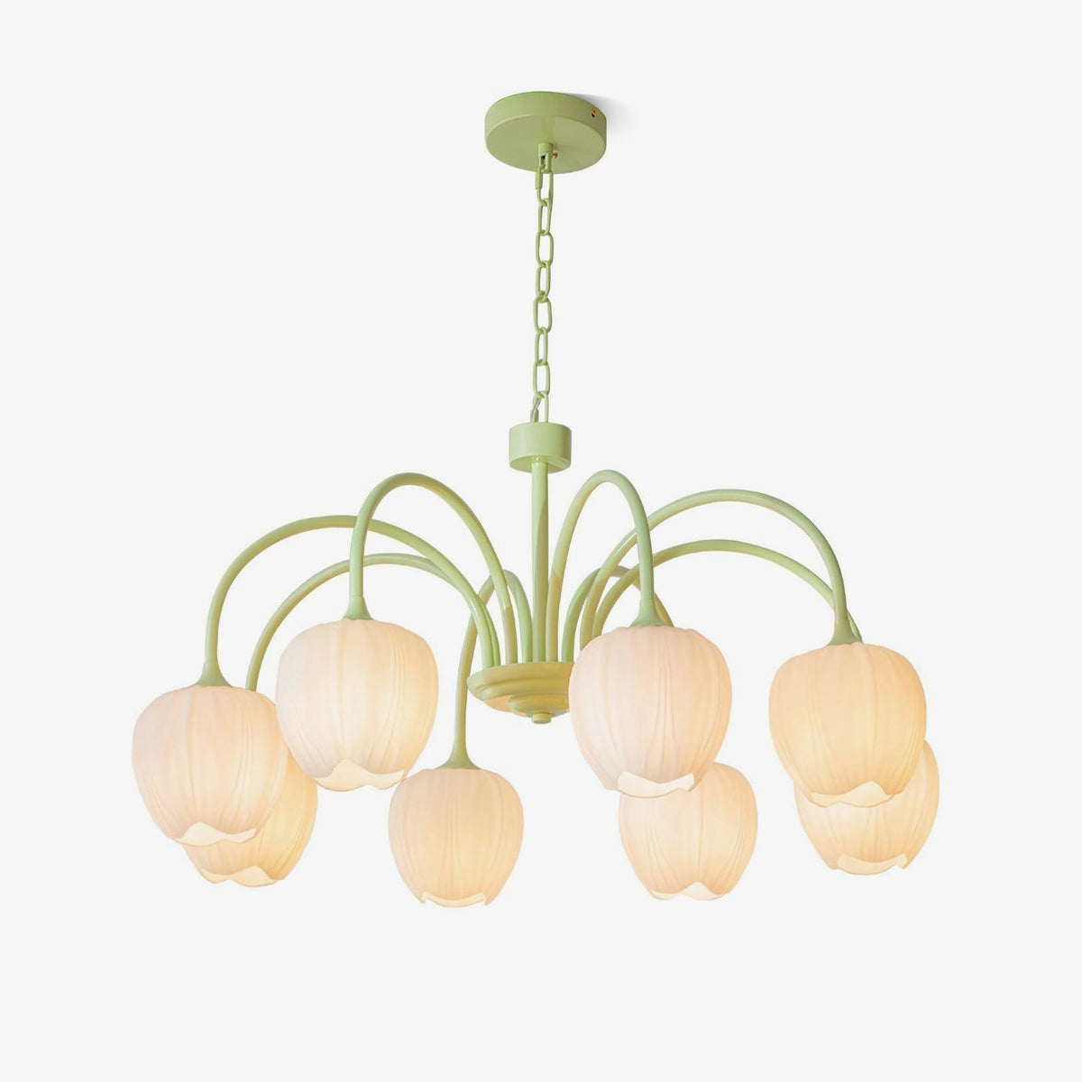 Gaina Tulip Matcha Chandelier