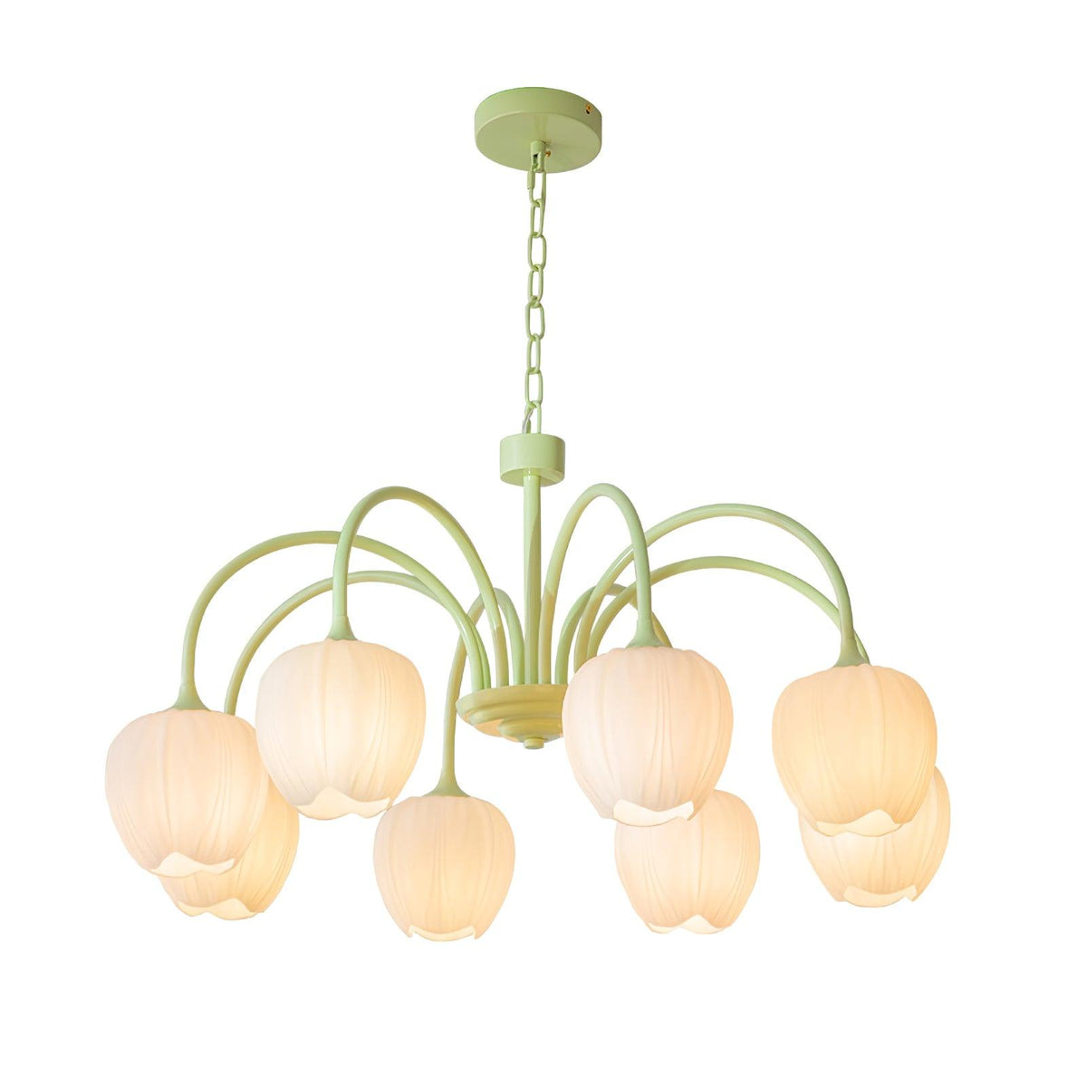 Gaina Tulip Matcha Chandelier