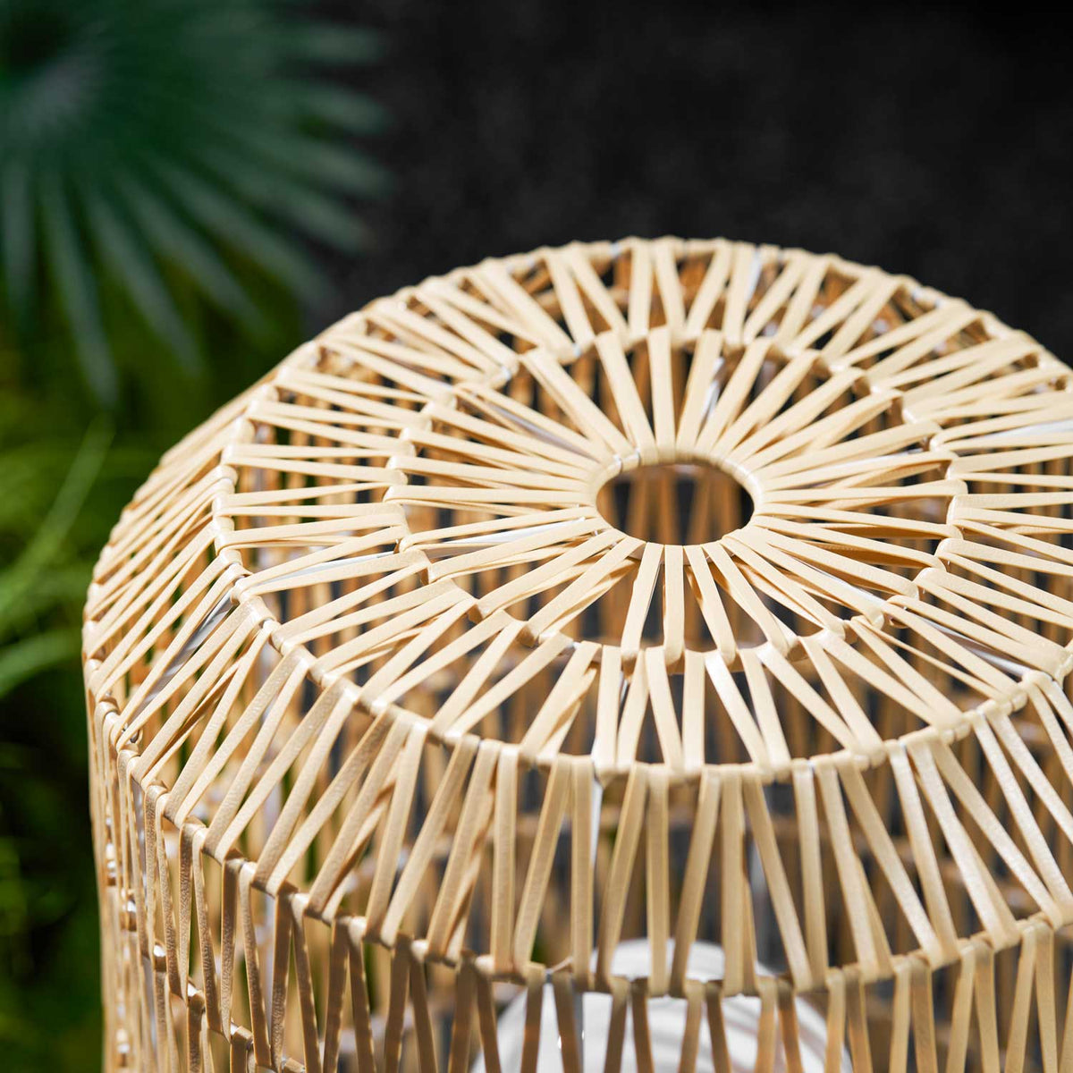 Velaleria Outdoor Light