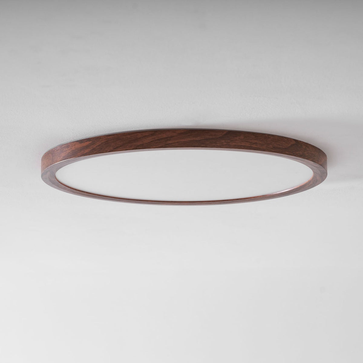 Femae Ultrathin Round Flush Mount Ceiling Light