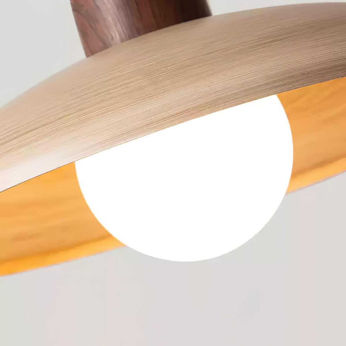 Sorinelia PE Retro Pendant Light