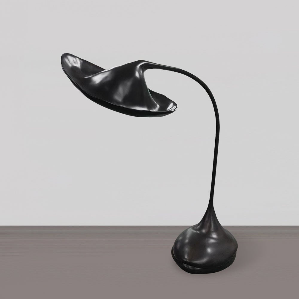 Elsilora Curved Black Desk Lamp