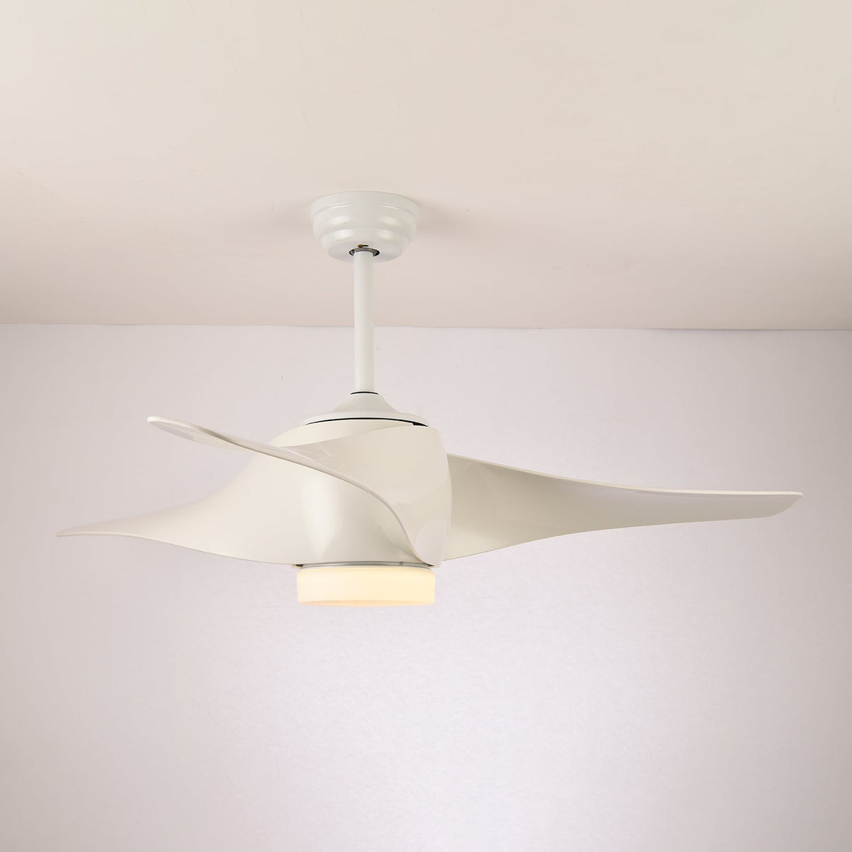 Cirivella Ceiling Fan Light