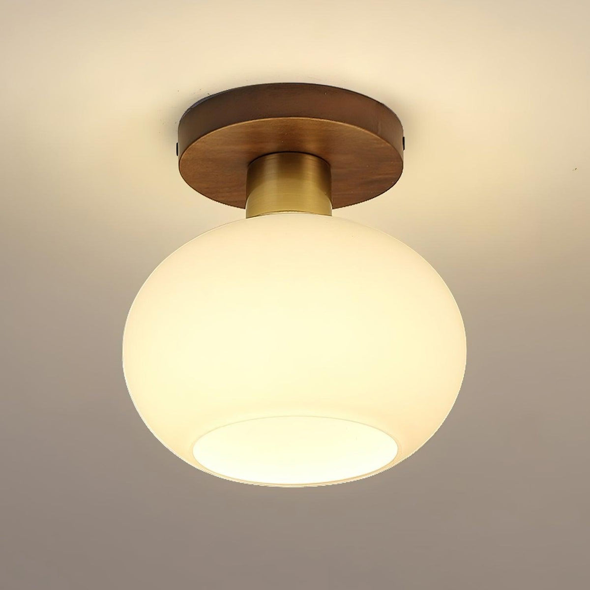 Elorusl Nordic Art White Shell Glass Ceiling Lamp
