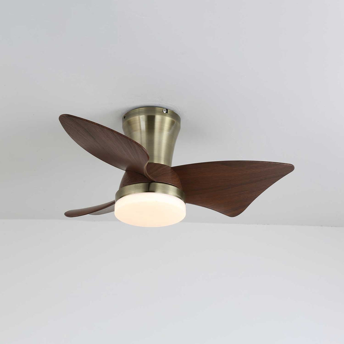 Aldivora Modern Wood Ceiling Fan Light