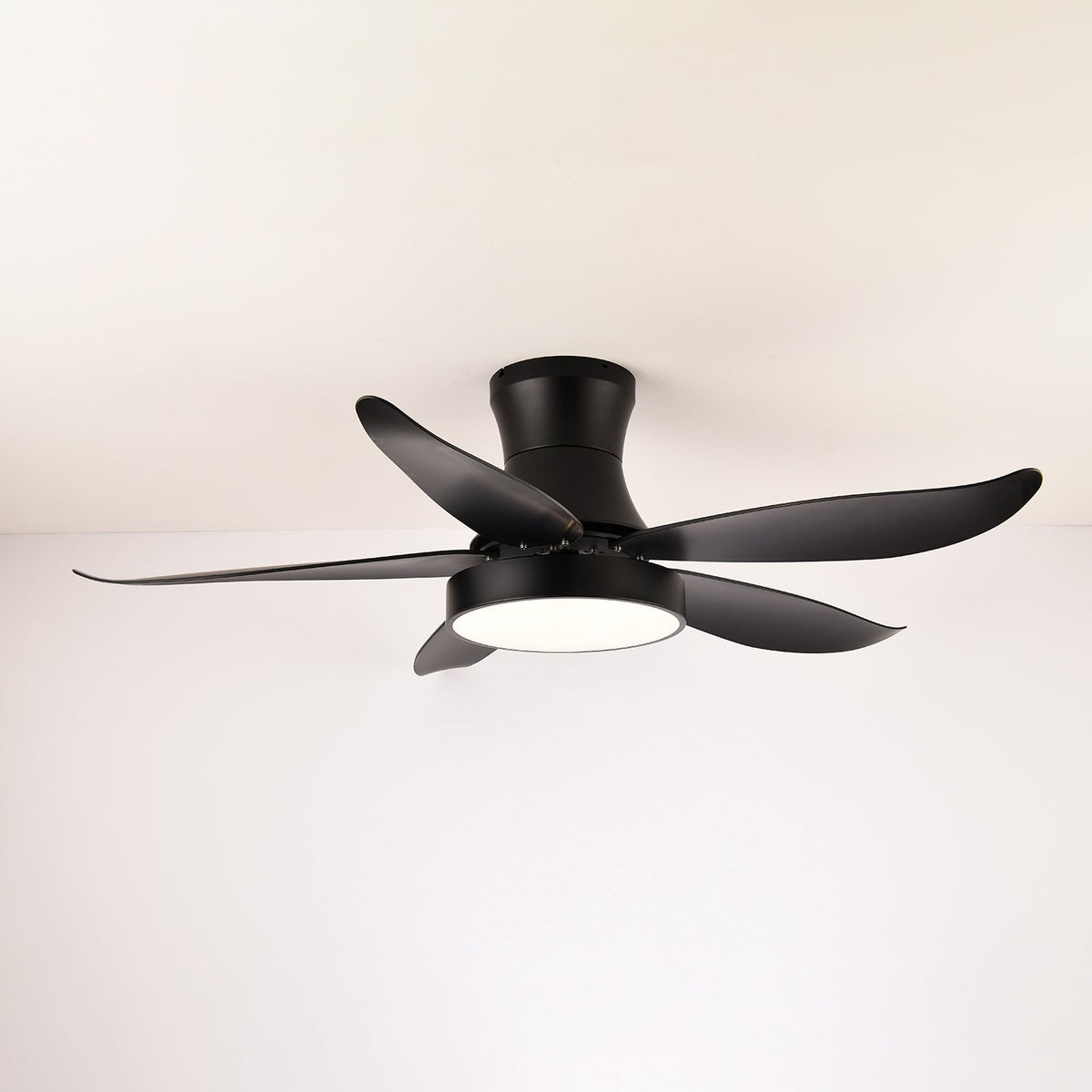 Jada Modern Black Ceiling Fan Light