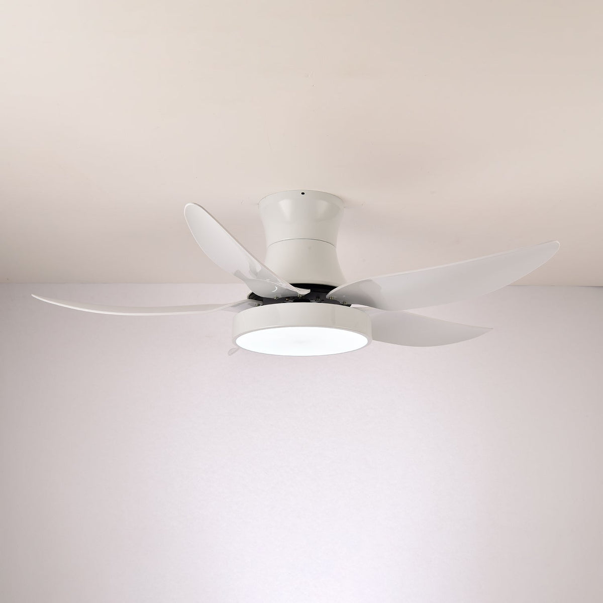 Jada Modern Black Ceiling Fan Light