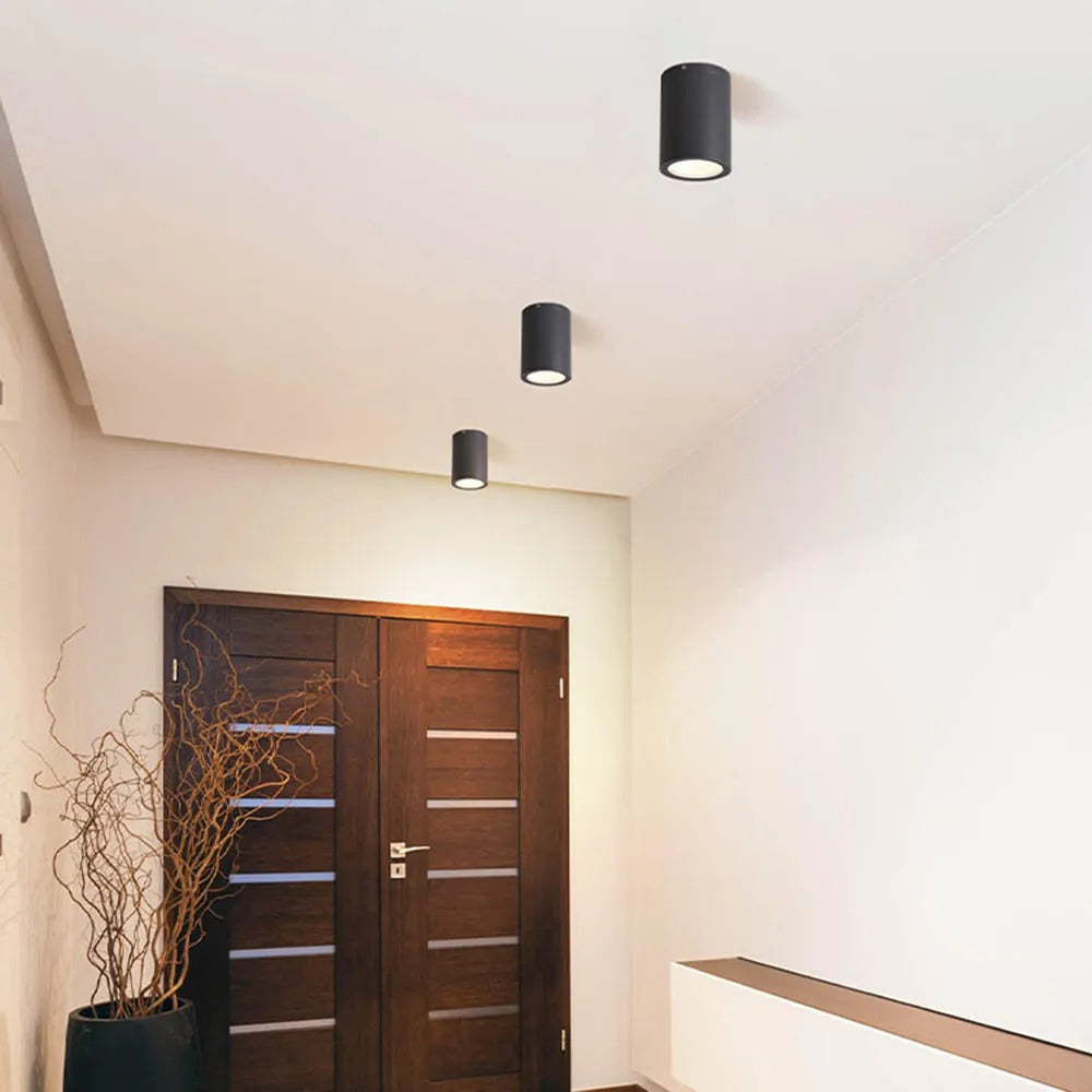 Ray Modern Cylindrical Flush Mount Ceiling Light Metal Glass - Lamp Outdoor